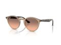 Ray-Ban Sunčane Naočale RB 2180 678846