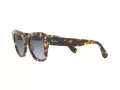 Ray-Ban State Street Sunčane Naočale 2186 133286