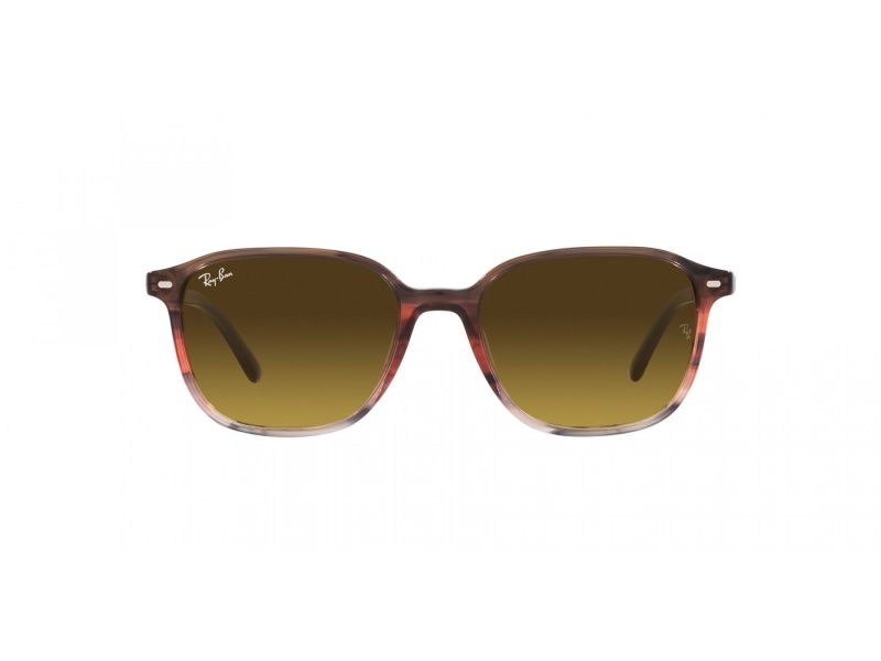 Ray-Ban Leonard Sunčane Naočale RB 2193 138085