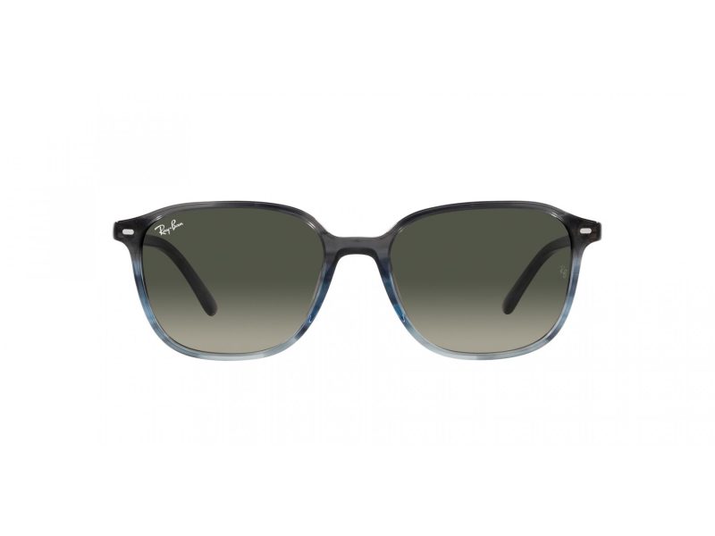 Ray-Ban Leonard Sunčane Naočale RB 2193 138171