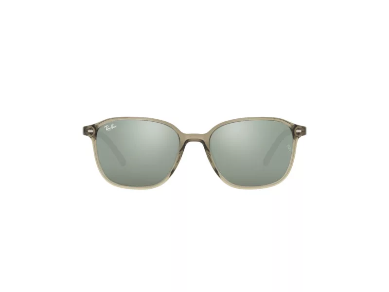 Ray-Ban Leonard Sunčane Naočale RB 2193 6635/5C