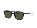 Ray-Ban Leonard Sunčane Naočale RB 2193 901/31