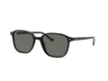Ray-Ban Leonard Sunčane Naočale RB 2193 901/58