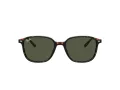 Ray-Ban Leonard Sunčane Naočale RB 2193 902/31
