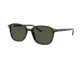 Ray-Ban Leonard Sunčane Naočale RB 2193 902/31