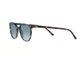 Ray-Ban Elliot Sunčane Naočale RB 2197 13563M