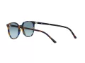 Ray-Ban Elliot Sunčane Naočale RB 2197 13563M