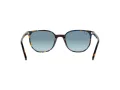 Ray-Ban Elliot Sunčane Naočale RB 2197 13563M