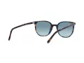 Ray-Ban Elliot Sunčane Naočale RB 2197 13563M