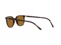 Ray-Ban Elliot Sunčane Naočale RB 2197 902/33