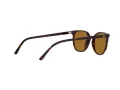 Ray-Ban Elliot Sunčane Naočale RB 2197 902/33
