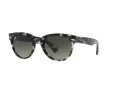 Ray-Ban Orion Sunčane Naočale RB 2199 1333/71
