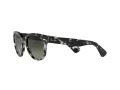 Ray-Ban Orion Sunčane Naočale RB 2199 1333/71