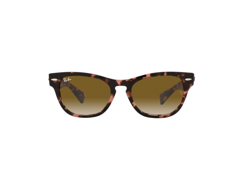 Ray-Ban Laramie Sunčane Naočale RB 2201 1334/51