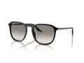 Ray-Ban Sunčane Naočale RB 2203 901/32