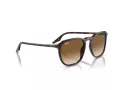 Ray-Ban Sunčane Naočale RB 2203 902/51