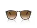 Ray-Ban Sunčane Naočale RB 2203 902/51