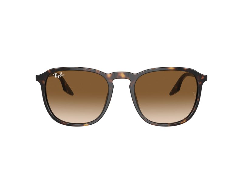 Ray-Ban Sunčane Naočale RB 0RB2203 902/51