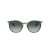 Ray-Ban Sunčane Naočale RB 0RB2204 1394GK