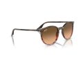 Ray-Ban Sunčane Naočale RB 0RB2204 13953B