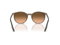 Ray-Ban Sunčane Naočale RB 0RB2204 13953B