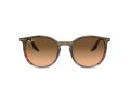 Ray-Ban Sunčane Naočale RB 0RB2204 13953B