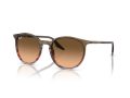 Ray-Ban Sunčane Naočale RB 0RB2204 13953B