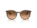 Ray-Ban Sunčane Naočale RB 2204 14293B