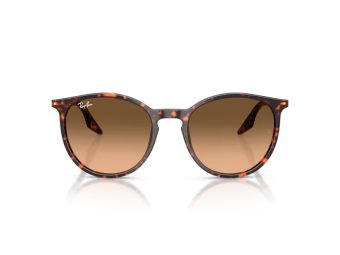 Ray-Ban Sunčane Naočale RB 2204 14293B