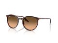 Ray-Ban Sunčane Naočale RB 2204 14293B