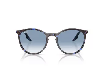 Ray-Ban Sunčane Naočale RB 2204 14303F