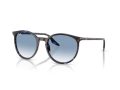Ray-Ban Sunčane Naočale RB 2204 14303F