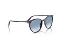 Ray-Ban Sunčane Naočale RB 2204 14303F