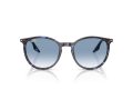 Ray-Ban Sunčane Naočale RB 2204 14303F