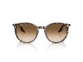Ray-Ban Sunčane Naočale RB 2204 143151