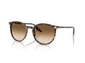 Ray-Ban Sunčane Naočale RB 2204 143151