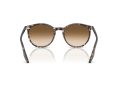 Ray-Ban Sunčane Naočale RB 2204 143151