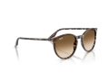 Ray-Ban Sunčane Naočale RB 2204 143151