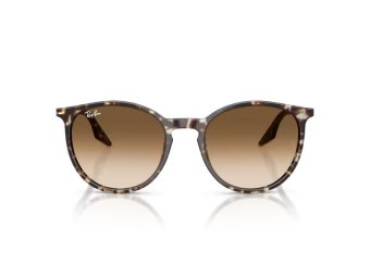 Ray-Ban Sunčane Naočale RB 2204 143151