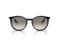 Ray-Ban Sunčane Naočale RB 0RB2204 901/32
