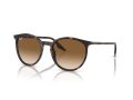Ray-Ban Sunčane Naočale RB 0RB2204 902/51