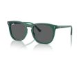 Ray-Ban Sunčane Naočale RB 2210 6615B1