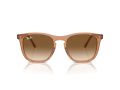 Ray-Ban Sunčane Naočale RB 2210 676451