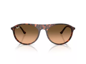 Ray-Ban Sunčane Naočale RB 2215 14293B
