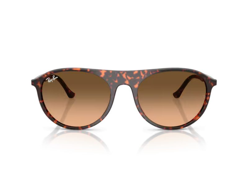 Ray-Ban Sunčane Naočale RB 2215 14293B