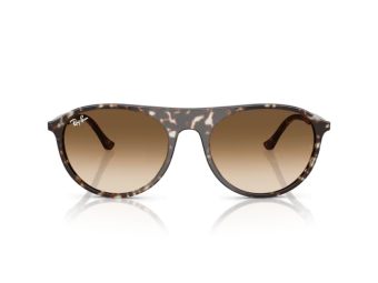 Ray-Ban Sunčane Naočale RB 2215 143151