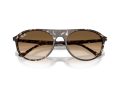 Ray-Ban Sunčane Naočale RB 2215 143151