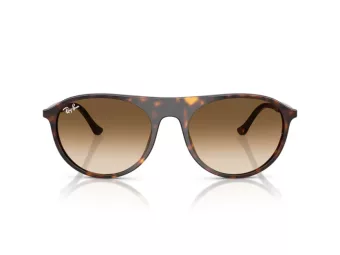 Ray-Ban Sunčane Naočale RB 2215 902/51
