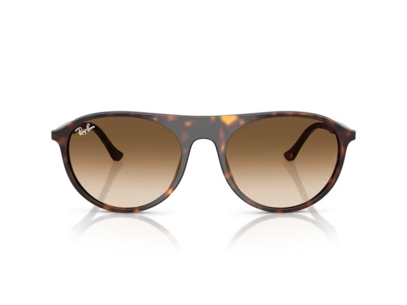 Ray-Ban Sunčane Naočale RB 2215 902/51