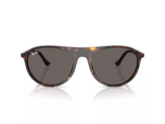 Ray-Ban Sunčane Naočale RB 2215 902/B1